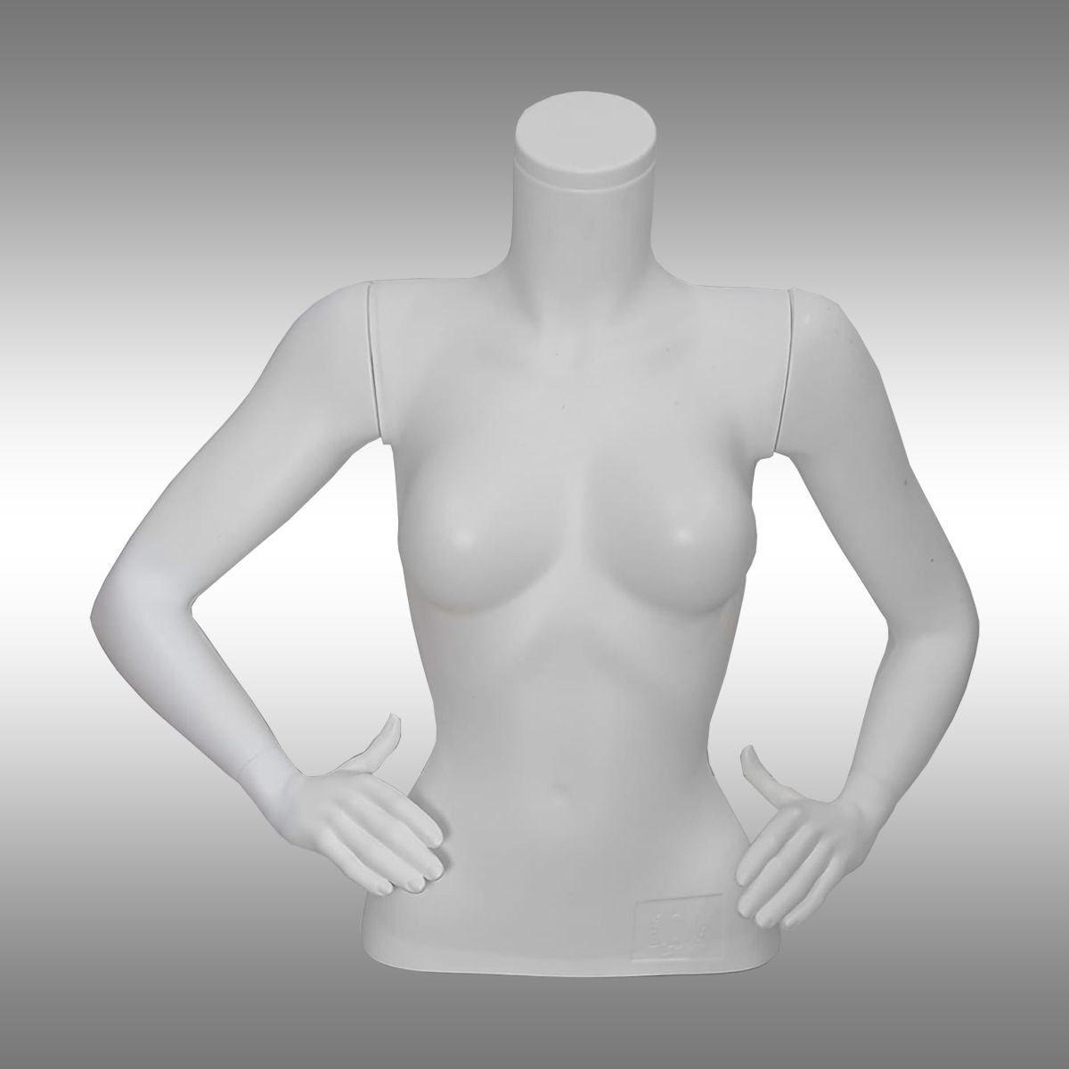 Bayan Kollu Büst Manken