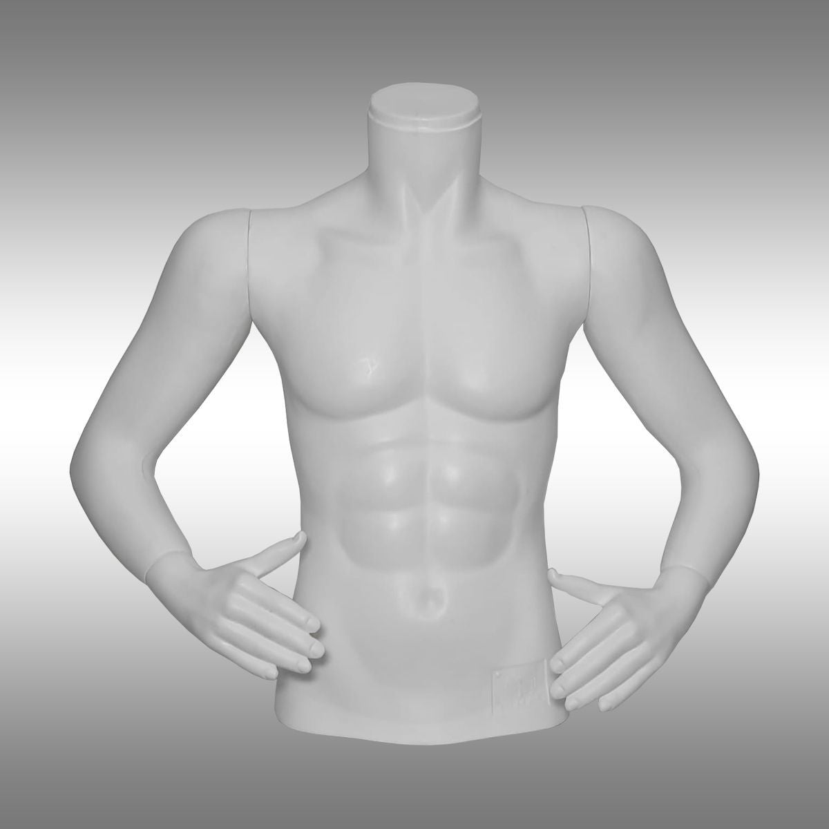 Erkek Kollu Büst Manken